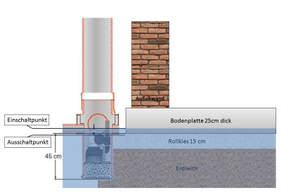 Querschnitt