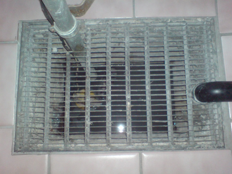 DSC01503.JPG