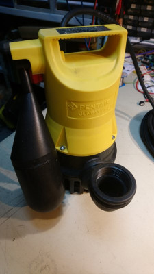 DSC_2785.JPG