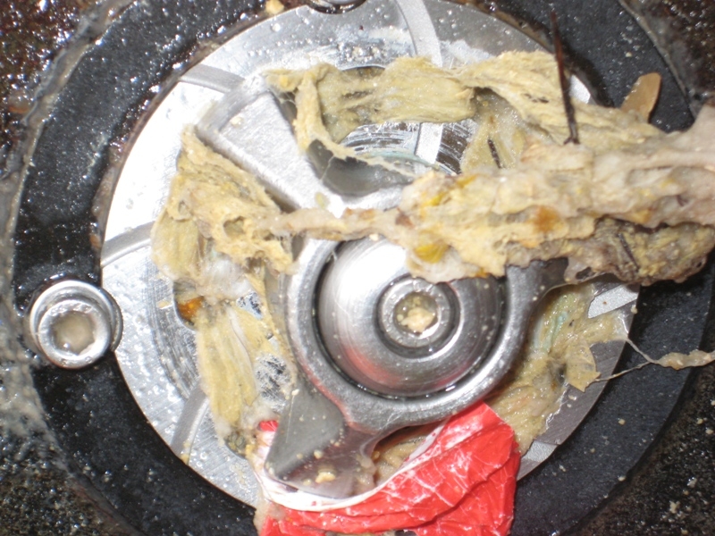 Multicut als Sandbagger