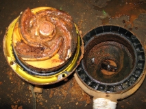 "Verlehmung der harten Tour"