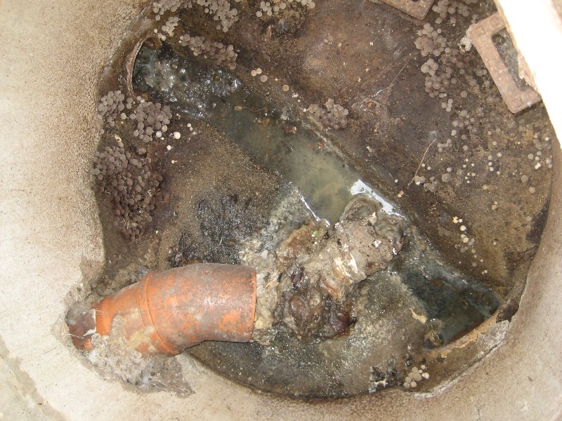 Hausanschlussschacht oder Pilzzucht?